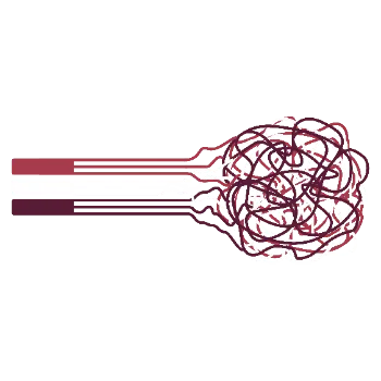 Complexity
